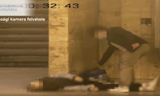 100 forint volt a zsákmány, alvó nőt fosztott ki egy 15 éves fiú egy közismert budapesti metróalujáróban