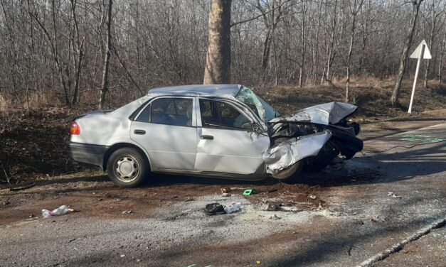 Lesodródott az úttestről majd fának csapódott egy autó az 5-ös főúton – Fotók a helyszínről