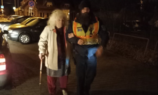 A zord hidegben kóborolt egy idős néni Isaszeg közelében, a rendőrök azonnal a segítségére siettek – fotók