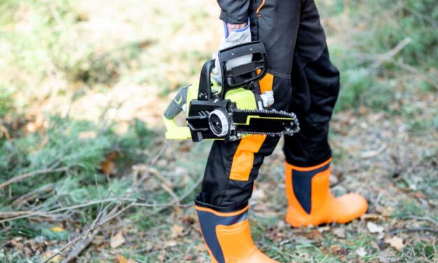 Jó választás az akkus láncfűrész