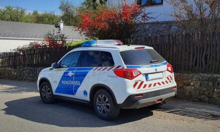 Riadalmat okozott egy fehér furgon Diósdon, a rendőrséghez fordult a polgármester, sokan aggódnak a településen