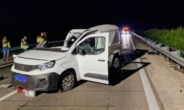 Csend és döbbenet, válogatott kenus az inárcsi éjszakai baleset áldozata