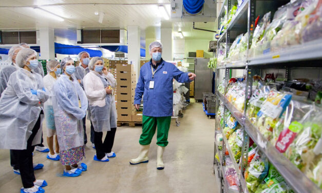 30 éve Magyarországon az Eisberg – A cég, amely rászoktatta az országot a salátára