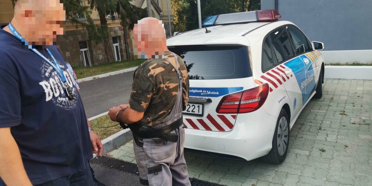 Döbbenetes: Molotov-koktélokat hajigált udvarokba, házakra ez a pilisi férfi, majdnem tragédia lett a vége
