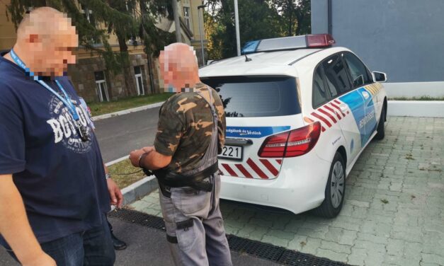 Döbbenetes: Molotov-koktélokat hajigált udvarokba, házakra ez a pilisi férfi, majdnem tragédia lett a vége