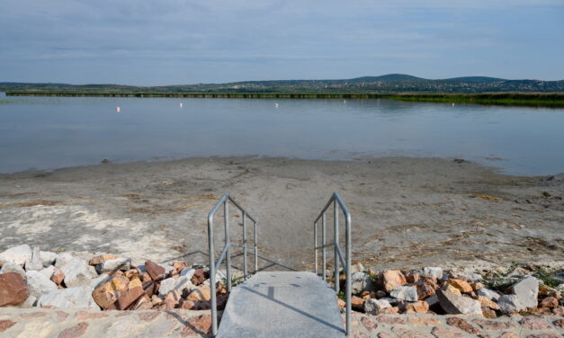 1300 kiló harcsa pusztult el augusztusban a Velencei-tóban, a Balaton már csak 74 centis a mérce szerint