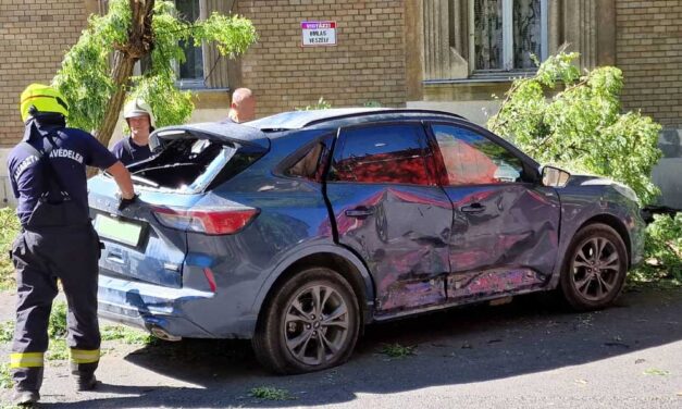 Durván oldalba vágta a futárcég autója a szép új Fordot, a karambolban kidőlt egy fa és sok tej az aszfaltra csorgott