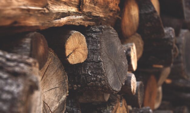 A rezsicsökkentés eltörlésének bejelentése után megindult a roham a tűzifáért: horror áron lesz a tüzelő télire