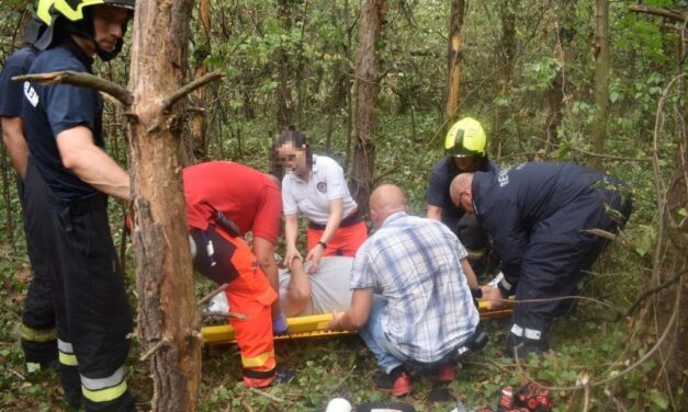 „Ne hagyja el magát János, úton van a segítség” – A Vecsés közeli erdőben lett rosszul egy 49 éves férfi, mozdulni sem tudott – A monori rendőrök azonnal a kutatásába kezdtek