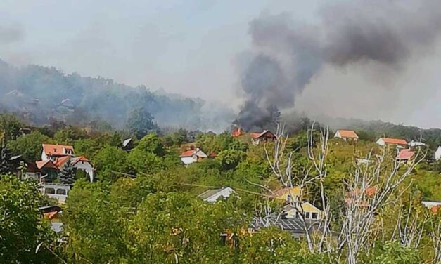 „Nem szándékosan okoztam katasztrófát” – nyilvánosan kért bocsánatot az a férfi a Facebookon, aki miatt több ház is leégett csütörtökön, azt ígéri, mindenkinek megtéríti a kárát