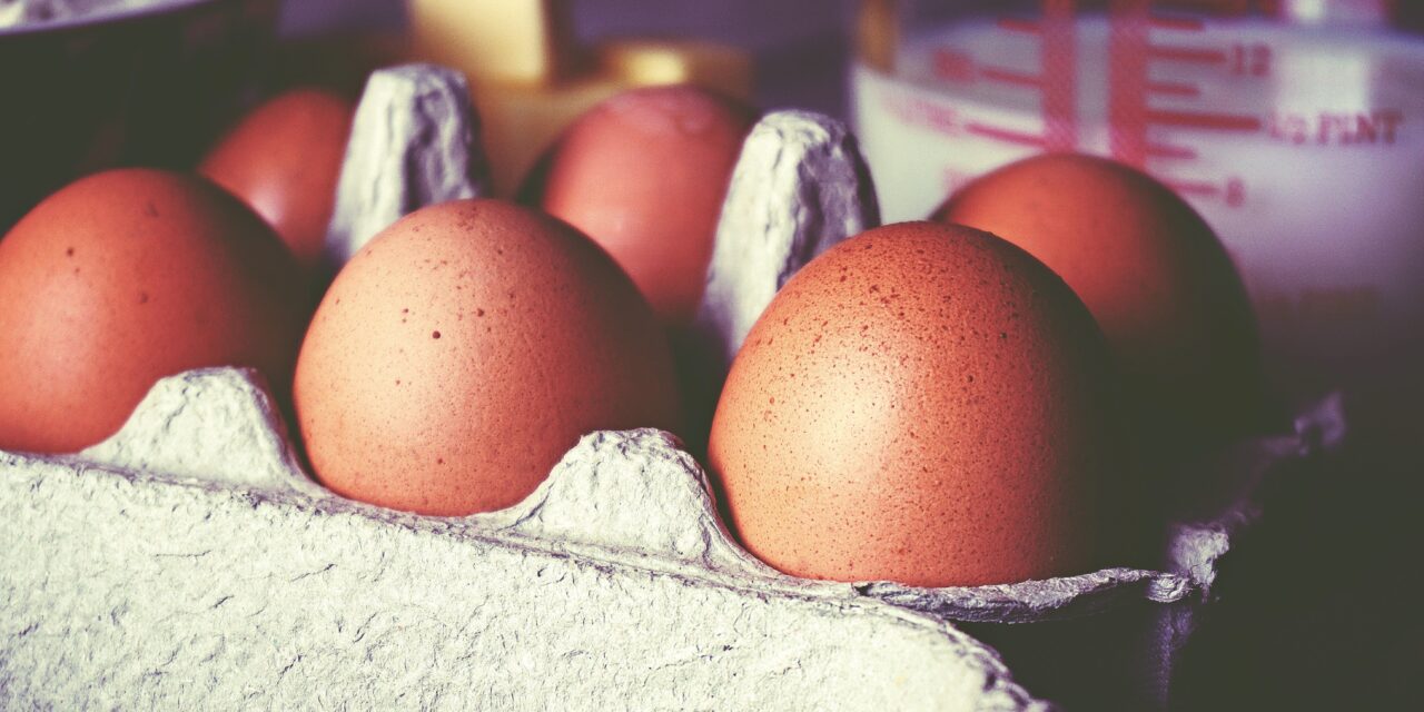 Ki tudja majd ezt kifizetni? – Durván felmegy szeptembertől a tojás ára, ezzel indokolják a termelők az emelést