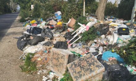 Ország úti szemétügy: eljárást indított a hatóság, de még mindig nincs gazdája az illegális hulladéknak Békásmegyer és Budakalász határán