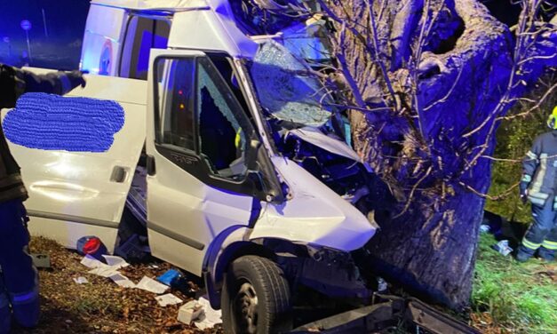 Halálos baleset történt Etyeken, a sofőr fának csapódott és a helyszínen életét veszítette
