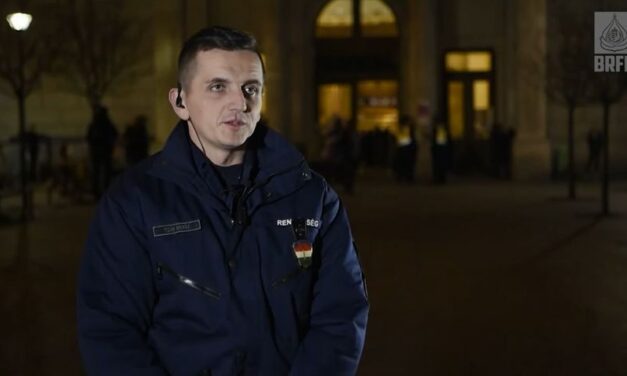 Egy Ladával és tíz macskájával menekült Budapestig egy ukrán nő