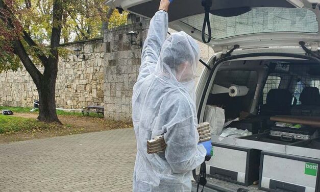 Éles eszközzel támadtak rá fényes nappal egy 20 éves férfira Székesfehérváron, életmentő műtéten esett át