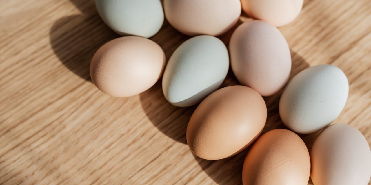 Pontosított a kormány: kiderült, pontosan melyik tojásokat érinti az ársapka