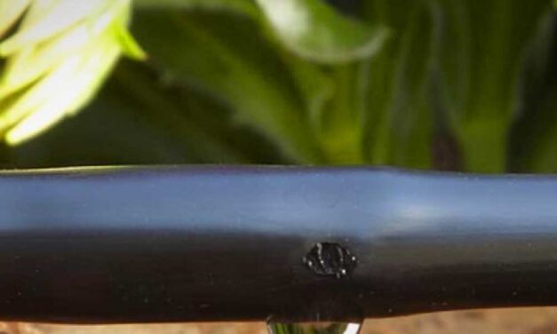 Mit kell tudni a csepegtető öntözőrendszerről?