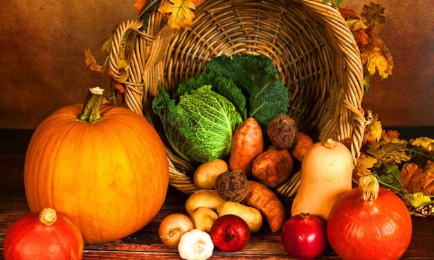 A színek jótékony hatása a szervezetünkre