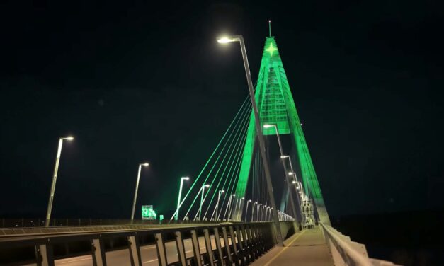 Idén is az ország legnagyobb karácsonyfája lesz a Megyeri híd