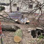 „Felfoghatatlan, hogyan gondolhatta a kerületi kapitányság felújítását végző cég, hogy engedély nélkül vág ki fákat” – Örsi Gergely a rendőrséghez fordult a történtek miatt 