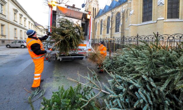 Több százezer karácsonyfa kerül ki Budapest utcáira: így rakd ki, ha nem akarsz büntetést