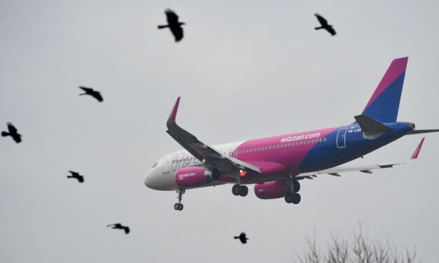Cirka 23 órát késett a Wizz Air Abu-Dzabiból Budapestre tartó járata, kész rémálommá vált az utazás