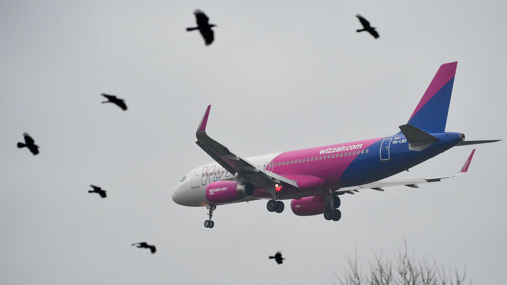 Cirka 23 órát késett a Wizz Air Abu-Dzabiból Budapestre tartó járata, kész rémálommá vált az utazás