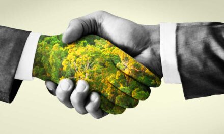<strong>Vállalatzöldítési programot indított a Ne Bántsd Az Erdőt Egyesület</strong>
