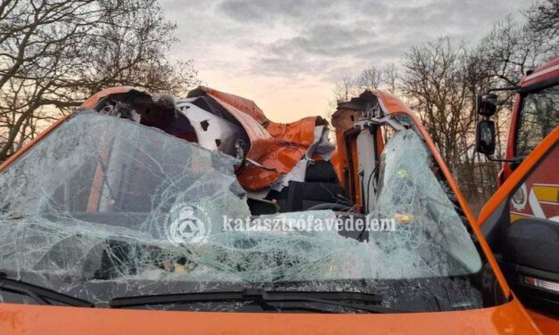„Több ezren szorítottak felgyógyulásáért, de péntek reggel megpihent” – elhunyt a Magyar Közút munkatársa, akinek egy szarvas csapódott az autójába