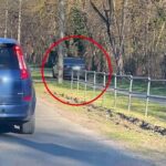 A járdán kerülte ki a dugót egy pofátlan autós Gödöllőn – videó
