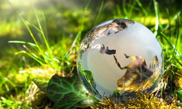 Energiahatékonyság és startupok: új lehetőségek a zöldebb jövőért