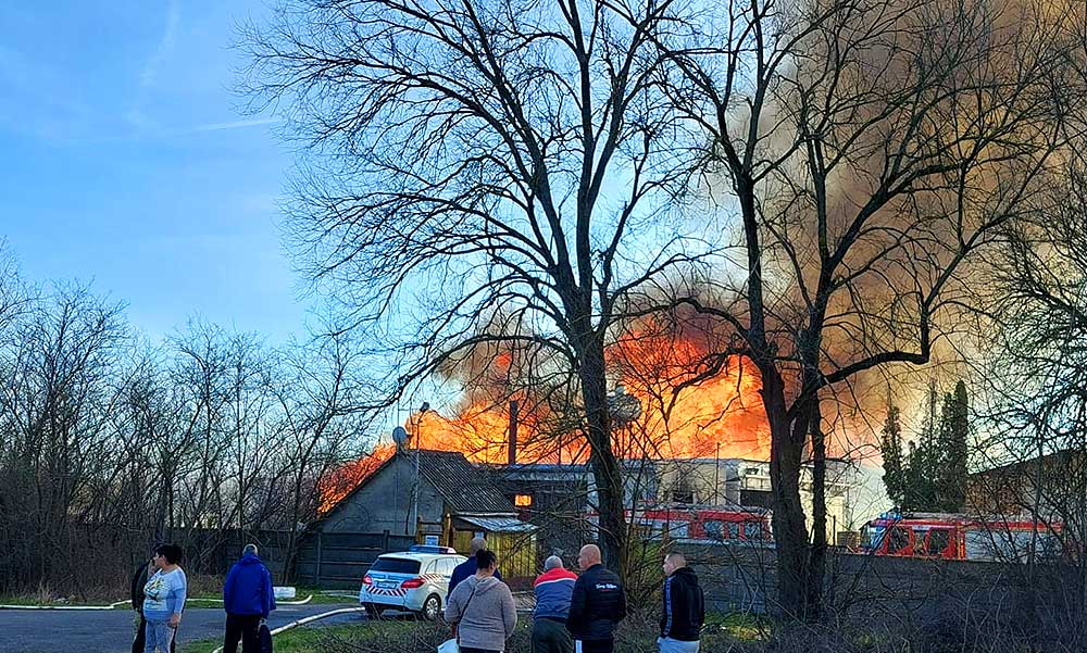 Holttestet találtak egy érdi családi házban – a robbanást viszont sikerült megelőzniük a helyi tűzoltóknak