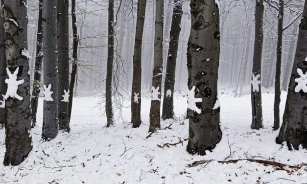 Tíz centiméteres havazást hozott a húsvét, a Mátrában hónyuszik inváziója volt