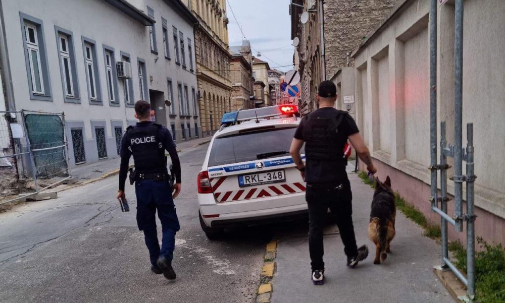 Szabadnapos rendőrök mentettek meg egy németjuhászt: egy idős férfi ököllel verte a kutyáját a Józsefvárosban