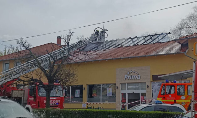 Eloltották azt a tüzet, amely egy pilisvörösvári üzletben keletkezett