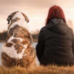 A kutya, az ember legjobb barátja