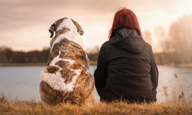 A kutya, az ember legjobb barátja