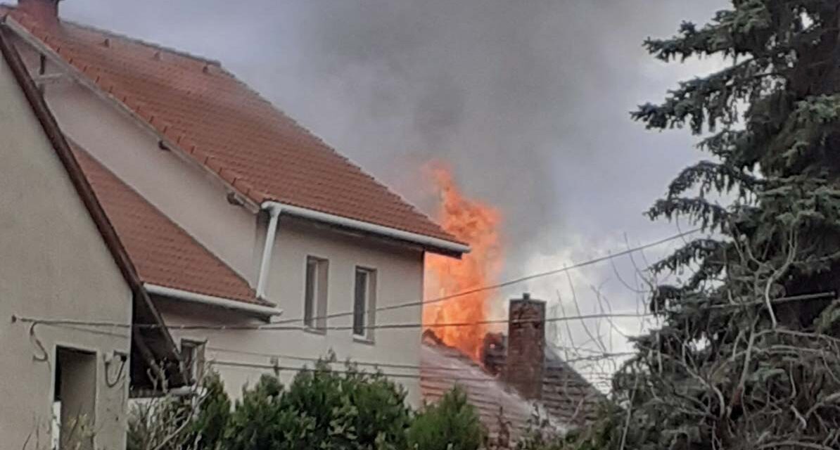 Gyászol Szentendre: egy idős néni égett halálra a hétfői lakástűzben, összefogtak a város lakói