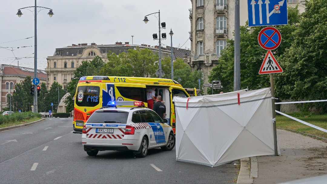 Azonnal meghalt a részeg férfi, aki lezuhant a Gellért-hegyről – helyszíni fotók