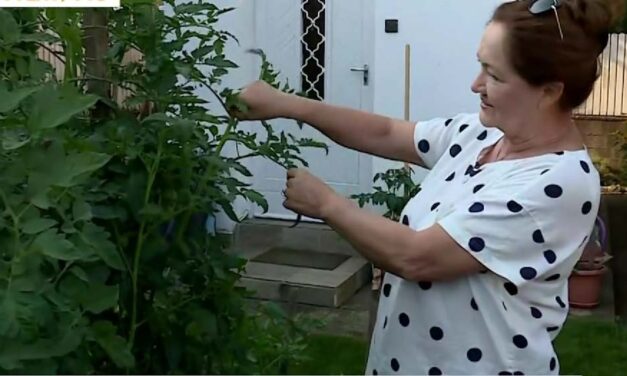 Gödi kertjébe menekül a problémák elől Kállay Bori, a színésznő újra megtalálta önmagát a válása után