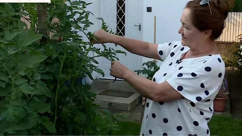 Gödi kertjébe menekül a problémák elől Kállay Bori, a színésznő újra megtalálta önmagát a válása után