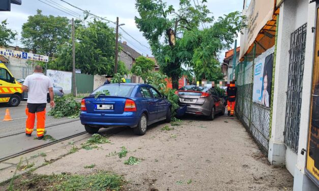 Furcsa baleset Pesterzsébeten: vezetés közben leesett a sofőr cipője, kirobbantak a légzsákok az ütközéstől