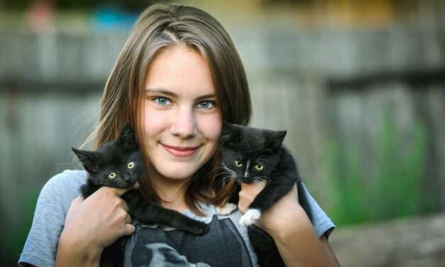 A kisállatok pozitív hatással vannak az ember egészségére