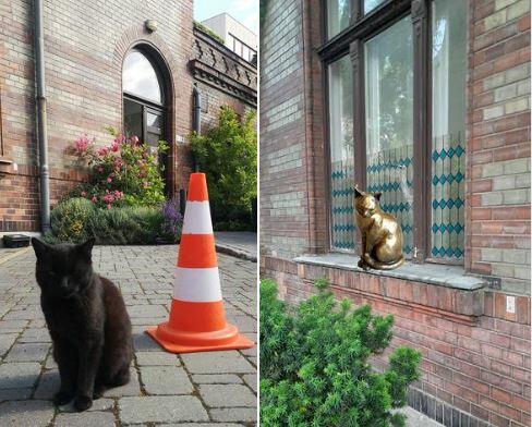 Nagy becsben tartották – életnagyságú szobrot kap a nemrég elpusztult Marci cica az egyik fővárosi egyetemen