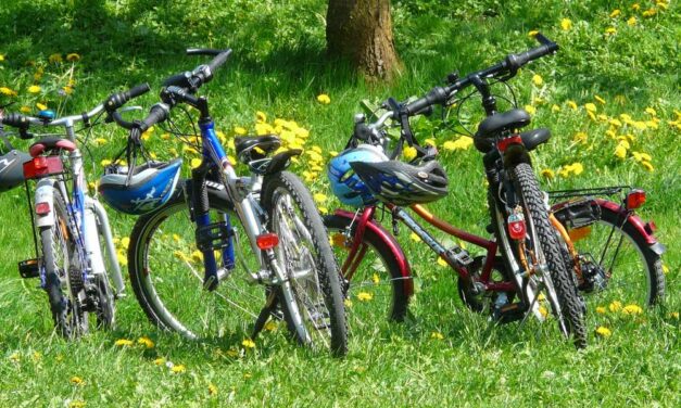 Válasszunk megfelelő városi-trekking kerékpár gumit!