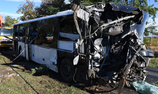„Nándi a legkedvesebb, legvidámabb ember volt, akit ismertem” – az egész lovassport gyászolja a horrorbalesetben elhunyt buszsofőrt