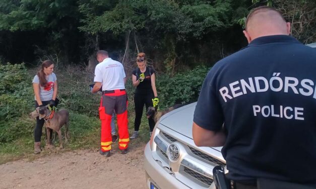 „A nagymamám már jól van” – Egy fésű segített megtalálni a szerdán eltűnt 87 éves Anna nénit