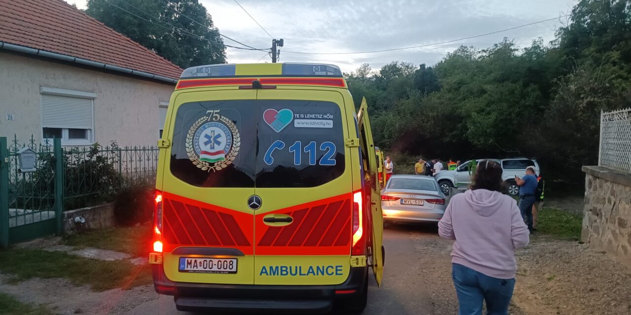 35 perc múlva ért ki a mentő Kiskunlacházára, egy újraélesztett beteghez, a férfi később meghalt: az eseten a térségben élő fideszes képviselő is felháborodott