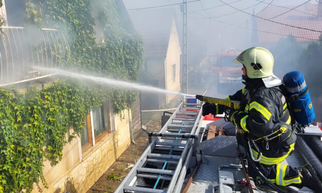 18 tűzoltó küzdött a lángokkal Csobánkán, nem tudták megmenteni az idős ember életét