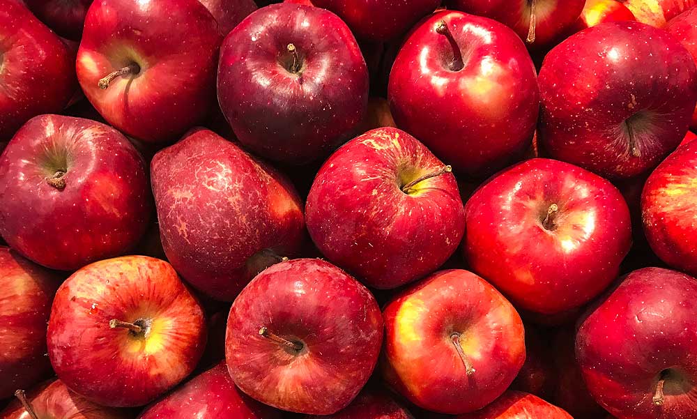 Budakalászi alma-ügy: hiába vette meg az iskolásoknak a gyümölcsöt az önkormányzat, a KLIK elnökének engedélye nélkül nem lehet kiosztani a gyerekeknek